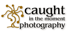 caught in the moment photography logo